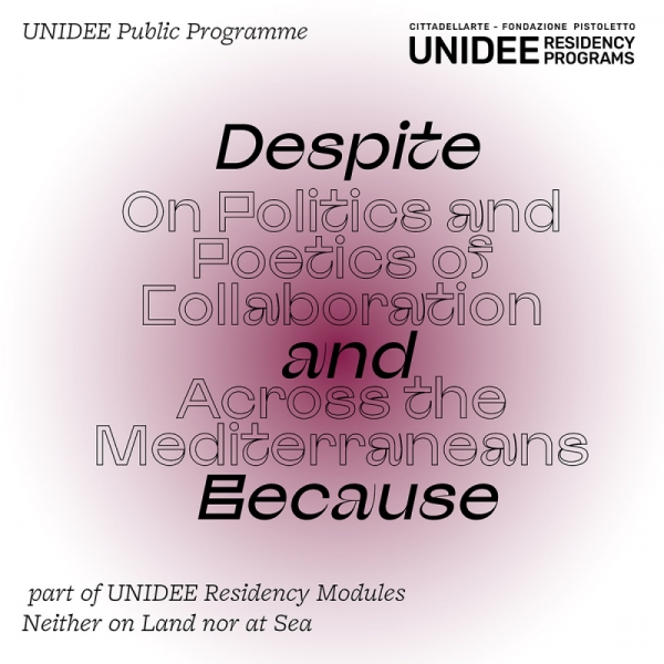 Despite and Because. On Politics & Poetics of Collaboration Across the Mediterraneans - Online public programme